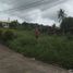  Terreno (Parcela) en venta en Cebu City, Central Visayas, Cebu City, Cebu, Central Visayas, Filipinas