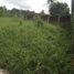  Terreno (Parcela) en venta en Cebu City, Central Visayas, Cebu City, Cebu, Central Visayas, Filipinas