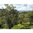 Terrain à vendre à Rionegro, Antioquia, Rionegro