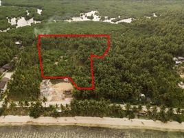  Land for sale in Caraga, General Luna, Surigao del Norte, Caraga