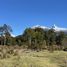  Terreno (Parcela) en venta en Chile, Palena, Palena, Los Lagos, Chile