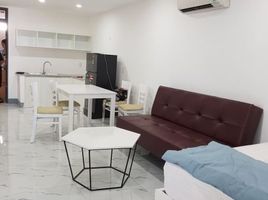 2 Phòng ngủ Chung cư for rent in Nam Dương, Hải Châu, Nam Dương