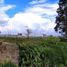  Land for rent in Funza, Cundinamarca, Funza