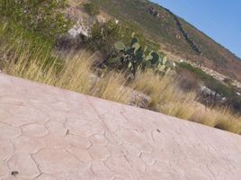  Grundstück zu verkaufen in San Luis Potosi, San Luis Potosi, San Luis Potosi, San Luis Potosi
