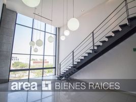 160 m² Office for rent in Nuevo Leon, Monterrey, Nuevo Leon