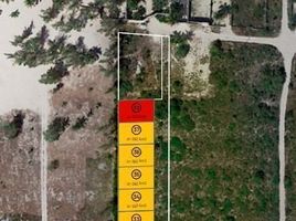  Grundstück zu verkaufen in Chicxulub Pueblo, Yucatan, Chicxulub Pueblo