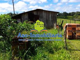  Land for sale in Caqueta, Florencia, Caqueta