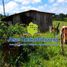  Land for sale in Florencia, Caqueta, Florencia, Caqueta