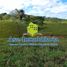  Land for sale in Caqueta, Florencia, Caqueta