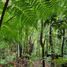  Land for sale in Llanquihue, Los Lagos, Puerto Varas, Llanquihue