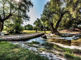  Terreno (Parcela) en venta en Corregidora, Querétaro, Corregidora