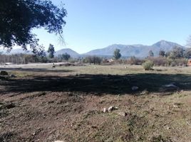  Land for sale in Chile, Curico, Curico, Maule, Chile