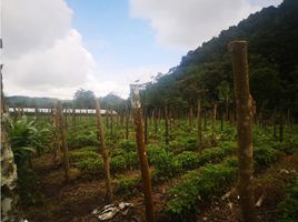 Estudio Casa en venta en Bugaba, Chiriquí, Volcán, Bugaba