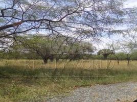  Land for sale in Doctor Arroyo, Nuevo Leon, Doctor Arroyo