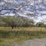  Land for sale in Doctor Arroyo, Nuevo Leon, Doctor Arroyo