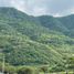  Land for sale in Jocotepec, Jalisco, Jocotepec
