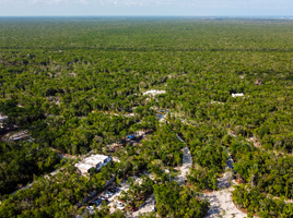  Grundstück zu verkaufen in Cozumel, Quintana Roo, Cozumel