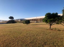 Terrain à vendre à Zapopan, Jalisco, Zapopan, Jalisco