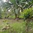  Terrain for sale in Island Garden Samal City, Davao del Norte, Island Garden Samal City