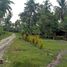  Terrain for sale in Island Garden Samal City, Davao del Norte, Island Garden Samal City