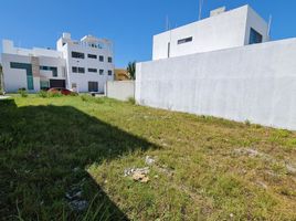  Land for sale in Carmen, Campeche, Carmen, Campeche