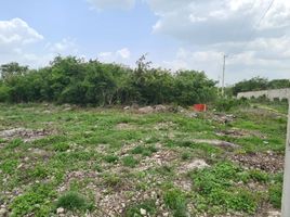  Grundstück zu verkaufen in Merida, Yucatan, Merida, Yucatan