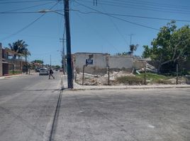 在Progreso, Yucatan出租的 土地, Progreso