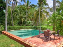 在Yucatan出租的3 卧室 屋, Tahmek, Yucatan