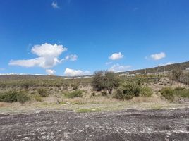  Terreno (Parcela) en venta en El Marques, Querétaro, El Marques