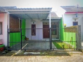 2 Kamar Rumah for rent in Indonesia, Sumbersari, Jember, East Jawa, Indonesia