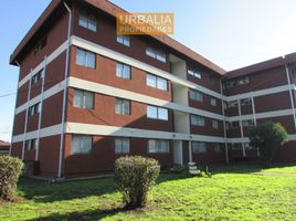 3 chambre Appartement for sale in Chillan, Diguillin, Chillan