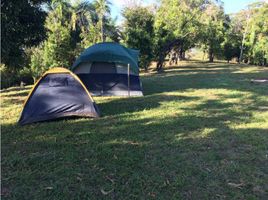  Terreno (Parcela) en alquiler en Panamá, Pueblo Nuevo, Ciudad de Panamá, Panamá