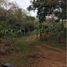  Terreno (Parcela) en alquiler en Panamá, Pueblo Nuevo, Ciudad de Panamá, Panamá