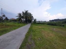  Land for sale in Kasihan, Bantul, Kasihan