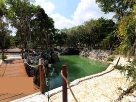 Terrain à vendre à Cozumel, Quintana Roo, Cozumel
