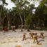 Terrain à vendre à Cozumel, Quintana Roo, Cozumel