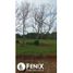  Land for sale in Misiones, Capital, Misiones