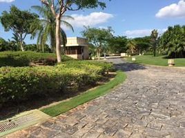  Grundstück zu verkaufen in Conkal, Yucatan, Conkal