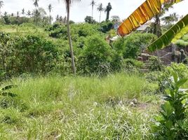  Land for sale in Ubud Art Market, Ubud, Ubud