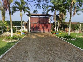 8 Bedroom House for rent in Cauca, El Tambo, Cauca