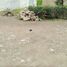  Terreno (Parcela) en venta en Padalarang, West Jawa, Padalarang