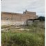  Land for rent in Torreon, Coahuila, Torreon