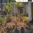 Studio House for sale in Cuernavaca, Morelos, Cuernavaca, Morelos