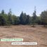  Land for sale in Kasihan, Bantul, Kasihan