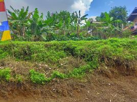  Terreno (Parcela) en venta en Cidadap, West Jawa, Cidadap, Bandung