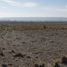  Land for sale in Tupungato, Mendoza, Tupungato
