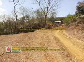  Land for sale in Santo Tomas, La Union, Santo Tomas