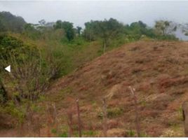  Land for sale in El Cacao, Capira, El Cacao