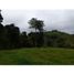  Land for sale in Filandia, Quindio, Filandia