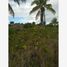  Grundstück zu verkaufen in Lazaro Cardenas, Quintana Roo, Lazaro Cardenas